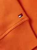 BIG HILFIGER HOODY