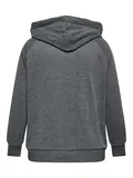 CARLAMILLE L/S HOOD CS SWT