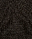 Carlton Beanie