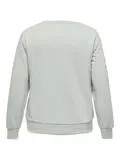 CARVANNA O-NECK LS SWEAT JRS