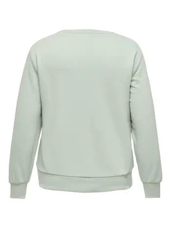 CARVANNA O-NECK LS SWEAT JRS