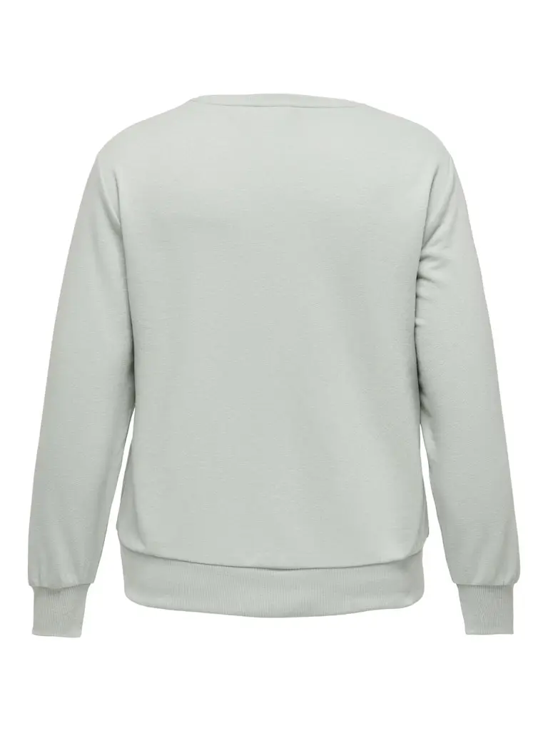 CARVANNA O-NECK LS SWEAT JRS