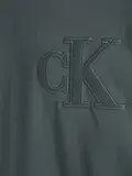 CK APPLIQUE TEE