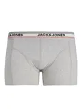 JACLOUNGE STRIB WB TRUNKS 3 PACK SN