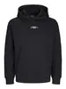 JCOALPHA MOUNTAIN PRINT SWEAT HOOD