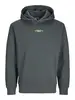 JCOALPHA MOUNTAIN PRINT SWEAT HOOD