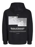 JCOALPHA MOUNTAIN PRINT SWEAT HOOD