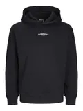 JCOALPHA MOUNTAIN PRINT SWEAT HOOD