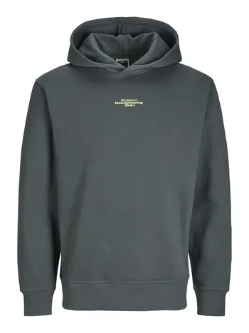 JCOALPHA MOUNTAIN PRINT SWEAT HOOD