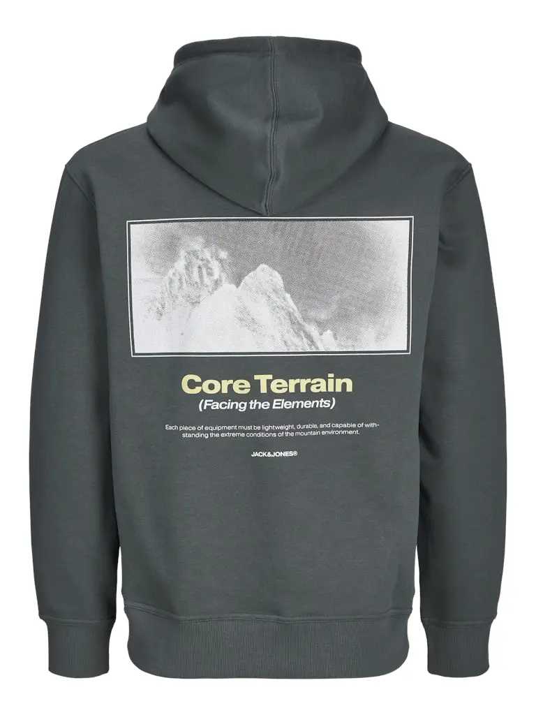 JCOALPHA MOUNTAIN PRINT SWEAT HOOD