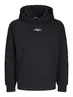 JCOALPHA MOUNTAIN PRINT SWEAT HOOD