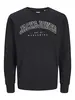 JJECALEB VARSITY SWEAT CREW NECK SN JNR