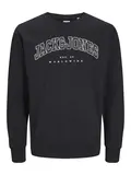 JJECALEB VARSITY SWEAT CREW NECK SN JNR