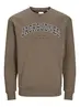 JJECALEB VARSITY SWEAT CREW NECK SN JNR