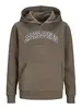 JJECALEB VARSITY SWEAT HOOD NOOS JNR