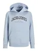 JJECALEB VARSITY SWEAT HOOD NOOS JNR