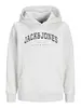 JJECALEB VARSITY SWEAT HOOD NOOS JNR