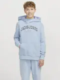 JJECALEB VARSITY SWEAT HOOD NOOS JNR