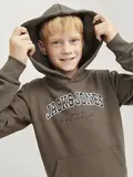 JJECALEB VARSITY SWEAT HOOD NOOS JNR