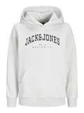 JJECALEB VARSITY SWEAT HOOD NOOS JNR