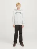 JJECALEB VARSITY SWEAT HOOD NOOS JNR