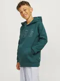 JJECORP LOGO SWEAT HOOD NOOS JNR