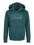 JJECORP LOGO SWEAT HOOD NOOS JNR