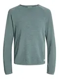 JJEHILL KNIT CREW NECK NOOS