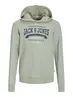 JJELOGO SWEAT HOOD 2 COL 23/24 SN MNI