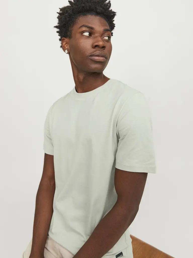 JJENOA TEE SS CREW NECK NOOS