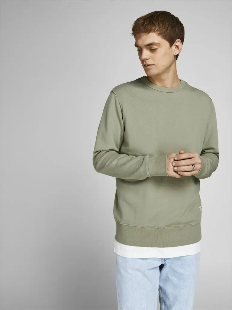 JJEORGANIC BASIC SWEAT CREW NECK NOOS