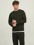 JJESTAR BASIC SWEAT CREW NECK NOOS