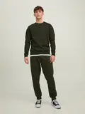 JJESTAR BASIC SWEAT CREW NECK NOOS