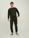 JJESTAR BASIC SWEAT CREW NECK NOOS