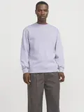 JJESTAR BASIC SWEAT CREW NECK NOOS