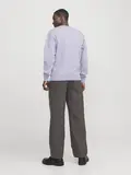 JJESTAR BASIC SWEAT CREW NECK NOOS