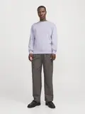 JJESTAR BASIC SWEAT CREW NECK NOOS