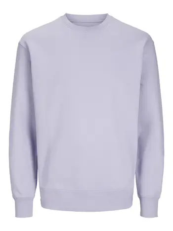 JJESTAR BASIC SWEAT CREW NECK NOOS