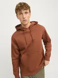 JJESTAR BASIC SWEAT HOOD NOOS