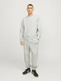 JJEURBAN EDGE SWEAT CREW NECK NOOS