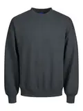 JJEURBAN EDGE SWEAT CREW NECK NOOS