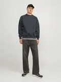 JJEURBAN EDGE SWEAT CREW NECK NOOS