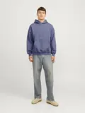 JJEURBAN EDGE SWEAT HOOD NOOS