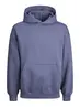 JJEURBAN EDGE SWEAT HOOD NOOS