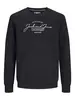 JJFERRIS SWEAT CREW NECK JNR