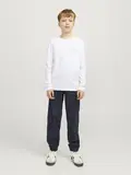 JJFERRIS TEE LS CREW NECK JNR