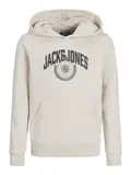 JJKAM VARSITY BRANDING SWEAT HOOD JNR