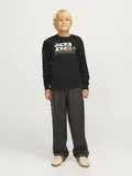 JJLUKE SWEAT CREW NECK JNR