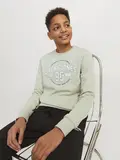 JJMINDS SWEAT CREW NECK JNR