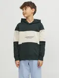 JORLAKEWOOD BLOCK SWEAT HOOD BF JNR